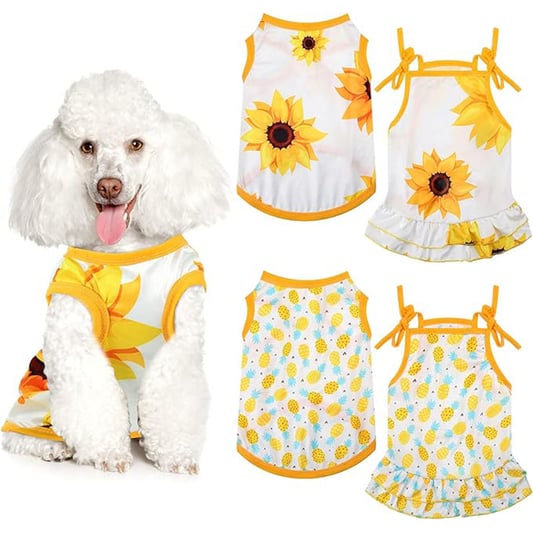 Fruit and Sunflower Pet Suspender Dress Set
