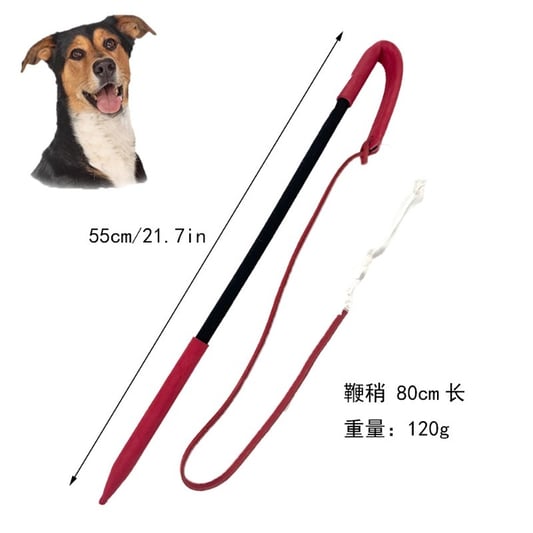 Dog Training Agitation Whip