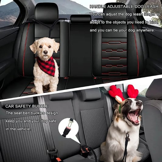 Elastic Shock-Absorbing Dog Leash