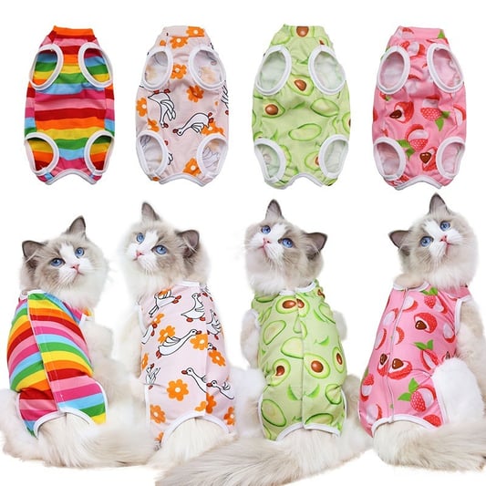 Fruit Pattern Sterilization Coat for Cats