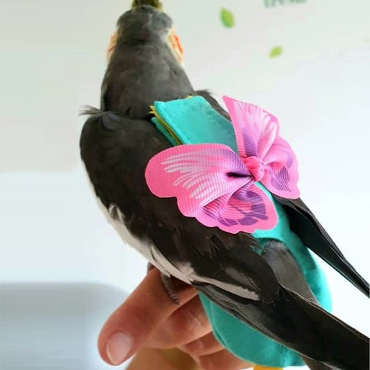 Parrot Vest with Butterfly Wing Design