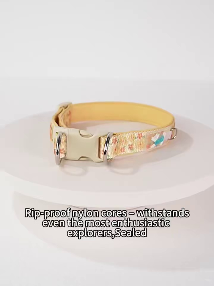 Durable Dog Collar with Leash Attachment