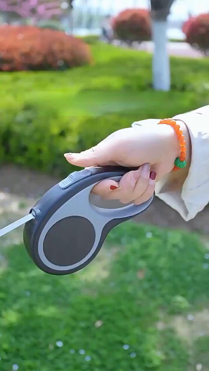Portable Retractable Dog Leash for Small Dogs