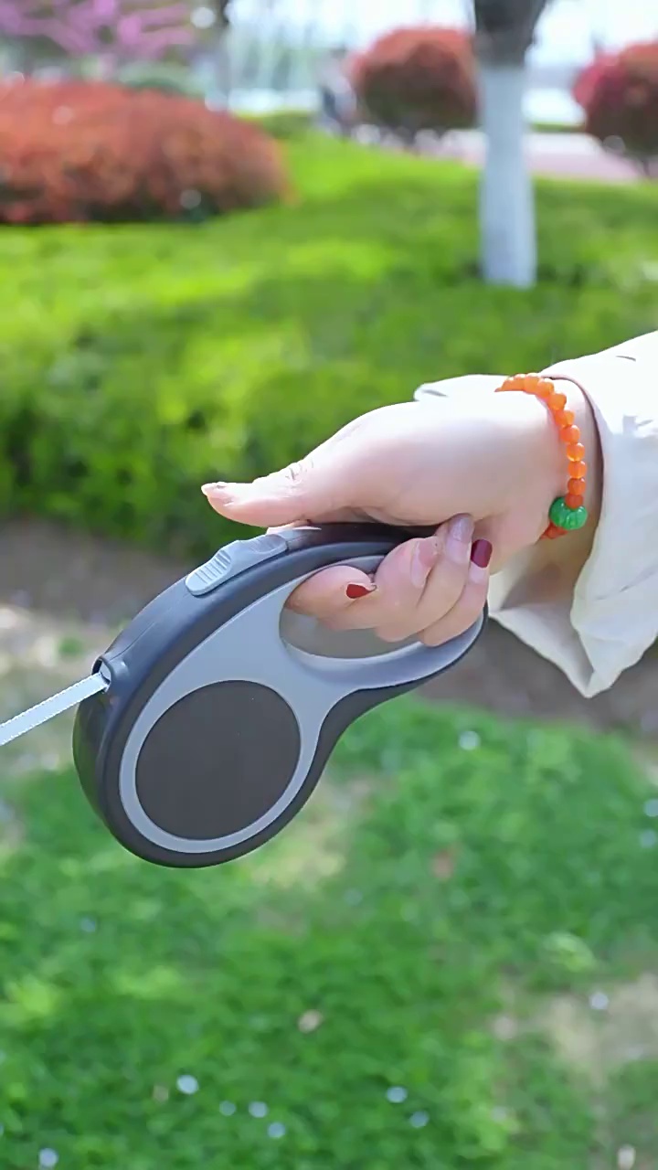 Portable Retractable Dog Leash for Small Dogs