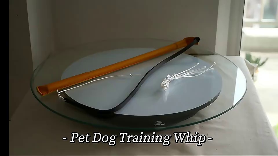 Dog Training Agitation Whip
